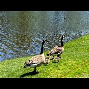 Meet your Posher, Patrizia